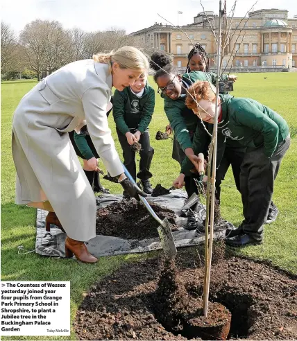  ?? Toby Melville ?? > The Countess of Wessex yesterday joined year four pupils from Grange Park Primary School in Shropshire, to plant a Jubilee tree in the Buckingham Palace Garden