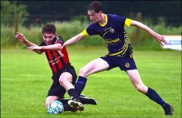 Gorey avail of the ideal start - PressReader