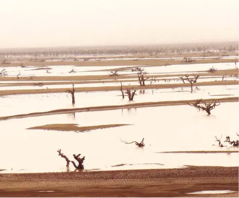  ??  ?? The shrinking waters of Goronyo reveal trees and old canoes.