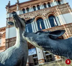  ??  ?? 3 3 Al Museo di Storia Naturale si può «noleggiare» l’Aula magna