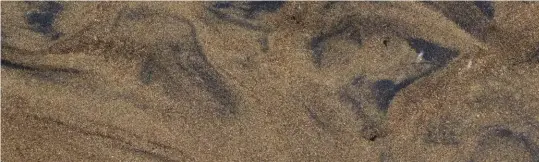  ?? STEVE VOYNICK ?? The bottom of Medano Creek at Colorado’s Great Sand Dunes National Park has prominent flow patterns of dark magnetite sand.