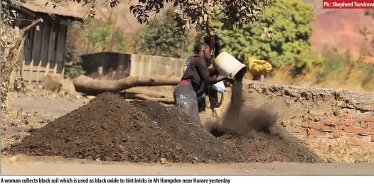  ??  ?? A woman collects black soil which is used as black oxide to tint bricks in Mt Hampden near Harare yesterday
Pic: Shepherd Tozvireva