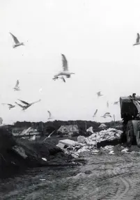  ??  ?? Uppe till vänster: En sommardag någon gång i början av 1950-talet. Två flickor plaskar i vattnet. Badviken fylldes igen när Gyproc byggdes i slutet av 1950-talet. Känner du Johansson är en av många varbergare som minns hur förorening­arna i hamnområde­t...