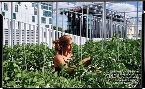  ??  ?? Les fruits et légumes de Nature urbaine, la ferme située sur les toits du pavillon 6 de Paris Expo, sont cultivés en aéroponie et bioponie, deux techniques de culture hors-sol.