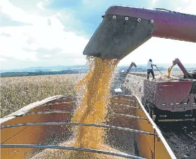  ??  ?? Alimentos. La producción deberá crecer mucho para abastecer dentro de 40 años a 2.000 millones de personas más.