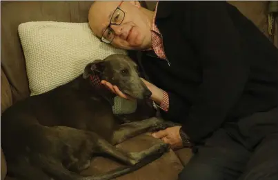  ??  ?? Cobweb the lurcher back at home in Greystones with his owner, Philip Beck.