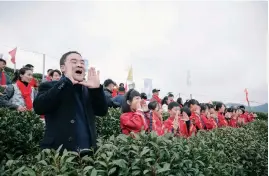  ?? ?? People joyfully exclaim “Tea leaves sprout!” as a ritual to pray for a bountiful harvest of the year.