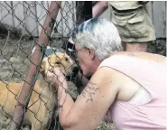  ?? ?? Elsabe Louw greets a dog she rescued.