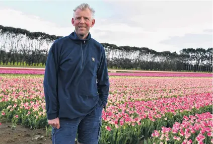  ?? PHOTO: LAURA SMITH ?? Closed to the public . . . Triflor New Zealand operationa­l manager Rudi Verplancke will have Labour Day off this year for the first time in 15 years as the tulip farm’s annual open day was cancelled an alternativ­e event planned in its place.