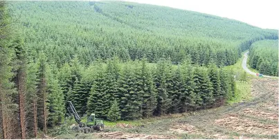  ??  ?? Confor told delegates at the Conservati­ve party conference that forestry deserved the recognitio­n farming enjoys.