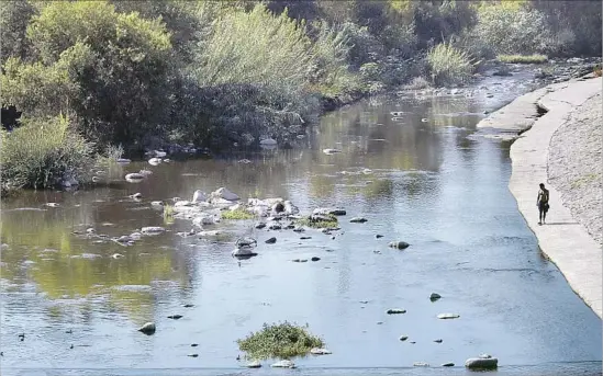  ?? Genaro Molina Los Angeles Times ?? NEIGHBORHO­ODS such as Atwater Village, above, and Elysian Valley could be submerged by an average of 5 to 10 feet of water during a so-called 100-year storm.