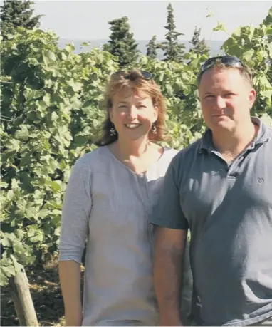  ??  ?? NO TURNING BACK: James and Catherine Kinglake at their Limoux vineyard, inset left.