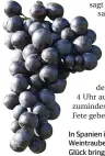  ?? ARCHIVFOTO: FOTO SIMON ?? In Spanien isst man an Silvester zwölf Weintraube­n hintereina­nder. Das soll Glück bringen.
