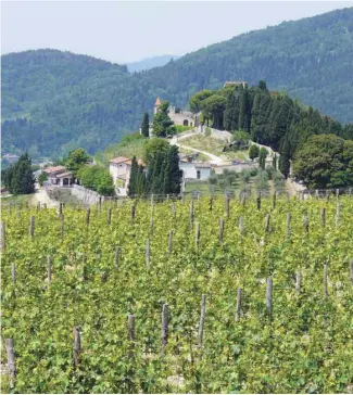 ?? JEAN AUBRY ?? Vignoble de la région du Chianti, en Toscane