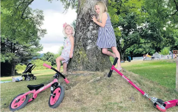  ?? ADRIAN WHITE ?? Taking in the shade, sisters Mali and Seren Jones from Trebanos enjoy a picnic in the Gnoll Country Park, Neath