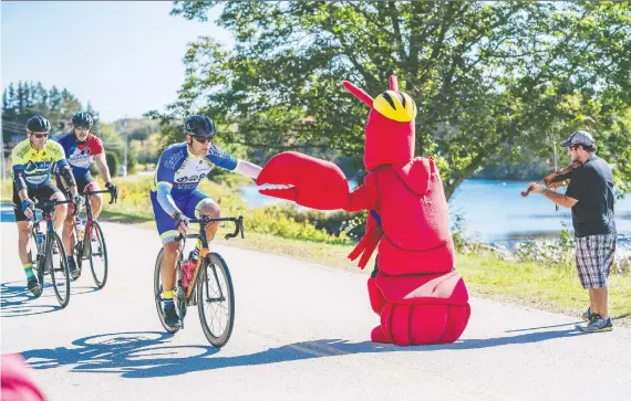  ?? PHOTOS: JOANNE ELVES ?? The lobster mascot greets riders at Moulin de Bangor during the Gran Fondo Baie Sainte-marie.