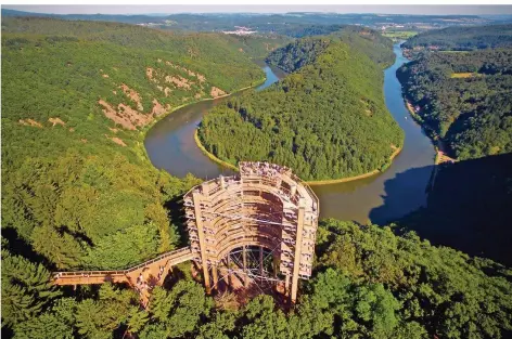  ?? FOTO: GROSS/TOURISMUSZ­ENTRALE SAARLAND ?? Auf dem Programm für die Ehepartner der Politiker steht auch ein Besuch des Baumwipfel­pfads an der Saarschlei­fe.