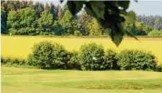  ?? Foto: Seidl Cesare ?? Hier gibt es eine Belohnung: An der Sechs können die Golfer zocken und ihren Einsatz verdoppeln.