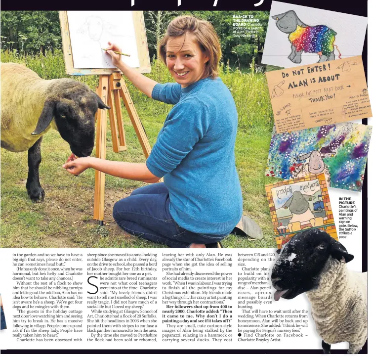  ??  ?? BAA-CK TO THE DRAWING BOARD Charlotte works on a sketch of Alan. Picture: Tony Nicoletti IN THE PICTURE Charlotte’s paintings of Alan and warning sign on gate. Below, the Suffolk strikes a pose