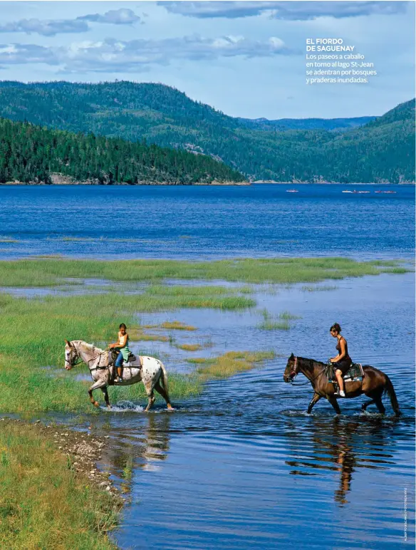  ??  ?? EL FIORDO DE SAGUENAY
Los paseos a caballo en torno al lago St-Jean se adentran por bosques y praderas inundadas.