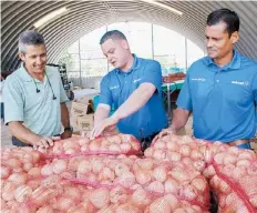  ??  ?? DESDE la izquierda, Arnaldo Félix y José Rivera, compradore­s de productos frescos de Walmart, junto a Carlos González, agroempres­ario de la finca de cebollas de Guánica.