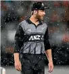  ??  ?? New Zealand captain Kane Williamson has a mild hamstring strain.