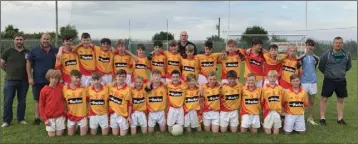  ??  ?? The Sarsfields Under-14 squad before their win over Shelmalier­s.