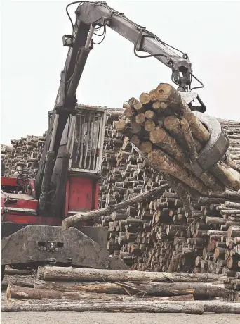  ??  ?? Les gouverneme­nts qui se sont succédé dans cette province ont donné à rabais les droits de coupe à quelques compagnies, sans jamais émettre de réelles conditions quant aux nombres d’emplois créés. − Archives