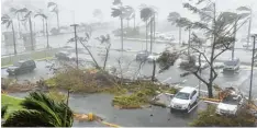  ?? Foto: Hector Retamal, afp ?? Der Hurrikan „Maria“riss gestern auf der zu den USA gehörenden Insel Puerto Rico mühelos Bäume zu Boden.