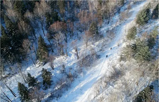  ?? ﬀXINHUA# ?? A view of the Northeast China Tiger and Leopard National Park