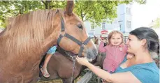  ??  ?? Die Pferde auf dem Marktplatz sind die große Attraktion für die kleinen Kinder. Nur das Streicheln trauen sie sich noch nicht zu.