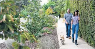  ??  ?? CHATTERJEE and Sayeed, top, enjoy their backyard with their two goats and pet dog. The urban homestead has yielded honey, fruit and even candlestic­ks for the family and is also home to Mithu the parrot, who seems quite comfortabl­e on Sayeed’s finger....