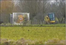  ?? AP photo ?? A shed with a painting of a bull sits in a field in West Flanders, Belgium, Wednesday. After hundreds of tractors disrupted an EU summit in Brussels in early February, farmers plan to return today to be there when farm ministers discuss an emergency item on the agenda; simplifica­tion of agricultur­al rules that some fear could also amount go a weakening of standards.