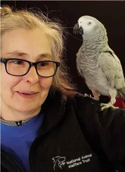  ??  ?? ABOVE: Marion Wischnewsk­i and her African grey parrot, Buddy, who has used Amazon’s Alexa to order strawberri­es, ice cream, a kite, light bulbs and a kettle.