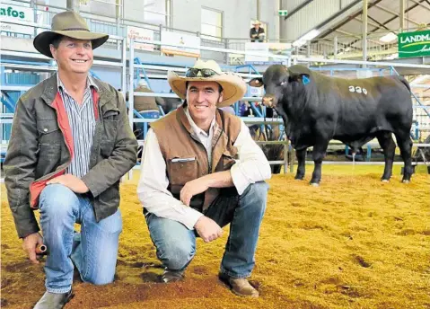  ?? PHOTO: TONI SOMES ?? TOP PRICED: Glenn Holtz from Santalands, Toowoomba sold Santalands Larry for $8000 to Proston cattleman Chris Fox.
