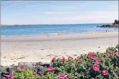  ?? CARLA ALLEN ?? John’s Cove Beach is one of the more popular beaches in the region that is not tested for bacteria levels. Port Maitland and Mavillette beaches are tested regularly for high bacteria levels by the province during the summer.