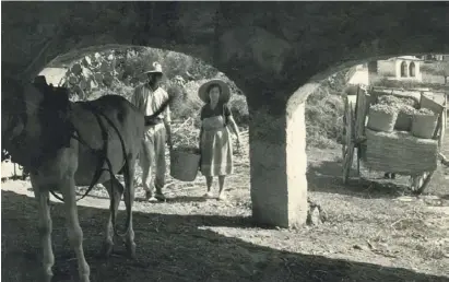  ?? Fotos: Museum Jávea ?? Glücklich schätzte sich, wer einen Esel hatte.