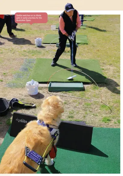  ??  ?? Goldie watches on as Abela gets in some practice for the Australian Open.