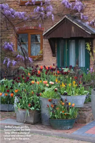  ??  ?? Arthur’s front garden, measuring just 5m (16ft) long, offers a stamp of colour and vibrancy that brings life to the space.
PLANTER, £25, Nordic House