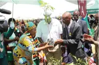  ?? — Pictures: Tinai Nyadzayo ?? Minister of State and Devolution for Manicaland Nokuthula Matsikenye­re, who was representi­ng Environmen­t and Tourism patron First Lady Dr Auxillia Mnangagwa, hands over trees to Chief Zimunya during the National Tree Planting Day programme in Mutare on Monday.