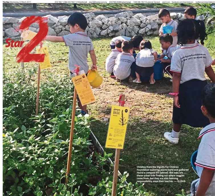  ?? ELISHA ?? Children from the Dignity For Children Foundation watering plants (left) and gathered round a compost bin (above). Not only are these urban kids finding out where veggies come from, but they are also learning responsibi­lity, says their teacher. —