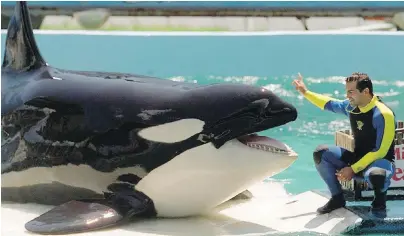  ??  ?? The killer whale Lolita (also called Tokitae), seen here with a trainer in 1994, has lived for 47 years at the Miami Seaquarium.