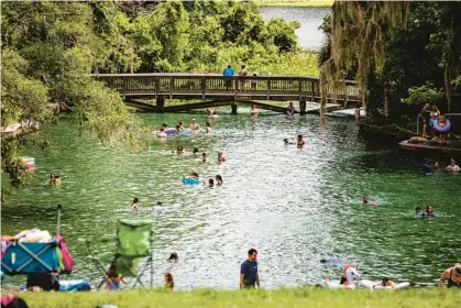  ?? PATRICK CONNOLLY/ORLANDO SENTINEL ?? Visitors enjoy the refreshing 72-degree waters of Wekiwa Springs State Park in June 2021.