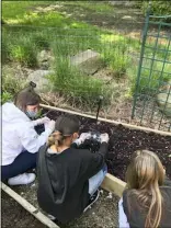  ?? SUBMITTED ?? Students work in the ozone garden at the Children’s Department of the Avon Lake Public Library. A dedication takes place Oct. 14.