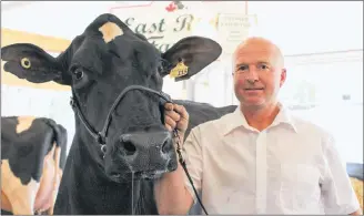  ?? KATHERINE HUNT/THE GUARDIAN ?? Bruce Wood and one of the 14 purebred Holsteins he showed in the AHP Holstein Show at the Eastlink Centre in Charlottet­own on Saturday as part of the Old Home Week exhibition. Old Home Week celebratio­ns goes all week long.