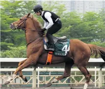  ??  ?? Shinjiro Kaneko’s goggles monitor the horse’s heart rate in real time.