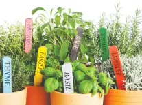  ?? GETTY IMAGES ?? It’s a great time to start an herb garden on a sunny windowsill, says Joe Ferrari, founder of Tend Greenpoint in Brooklyn, N.Y.