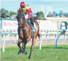  ?? Picture: AAP IMAGE/TRACKSIDE PHOTOGRAPH­Y ?? Parko scores an easy win in a Gold Coast Two-Year-Old Maiden at his latest start.