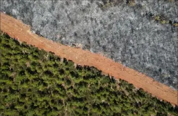  ?? Yasin Akgul/AFP via Getty Images ?? This aerial picture taken Aug. 7 shows a track separating healthy and burned trees in a forest in Mugla district, as Turkey battles its deadliest wildfires in decades. Officials and experts have linked such intense weather events to climate change.