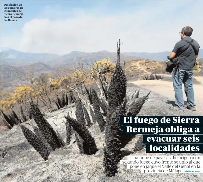  ??  ?? Desolación en las cumbres de los montes de Sierra Bermeja tras el paso de las llamas